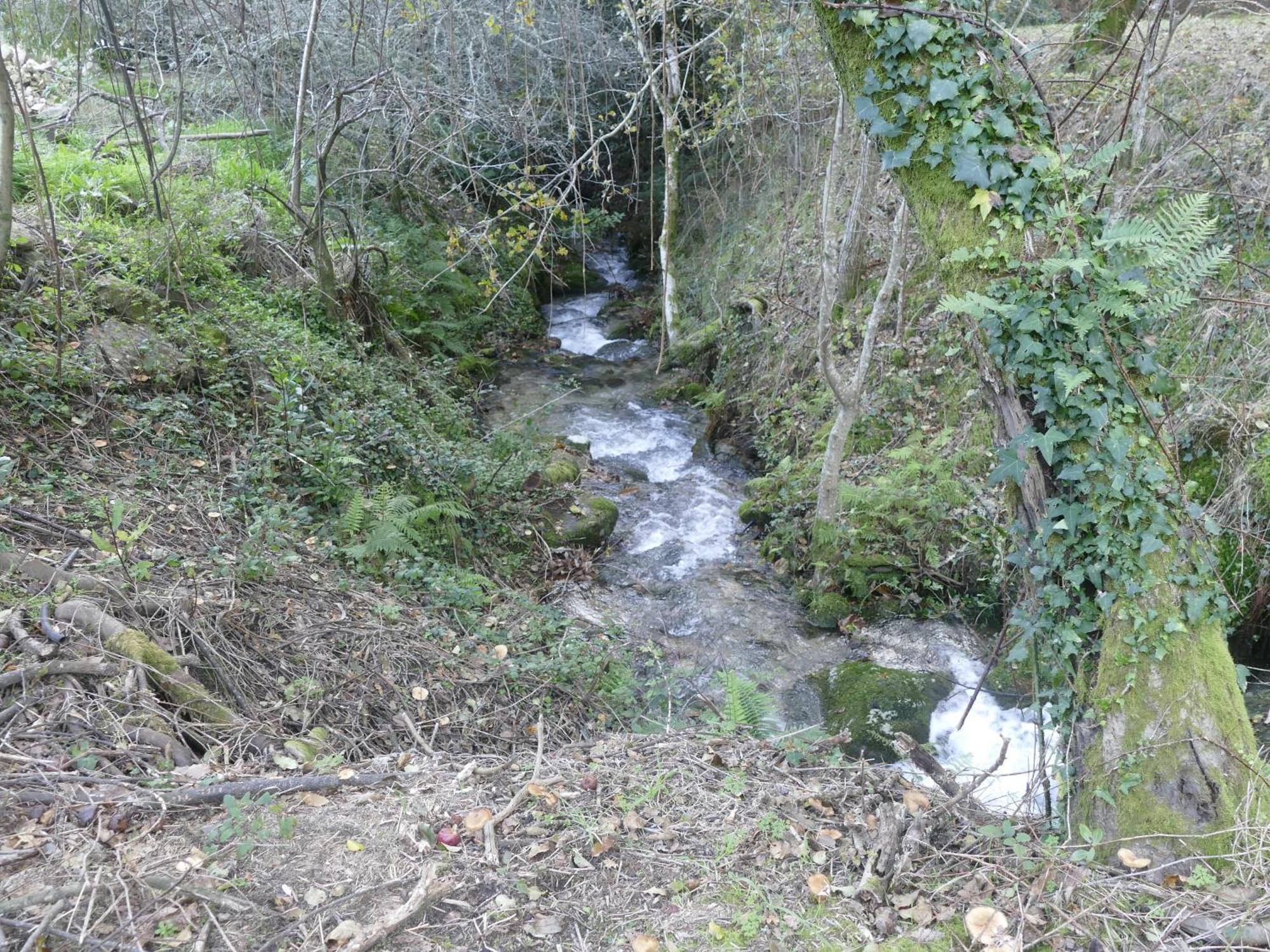 Casita A Estrenar En Finca Con Rio Proxima A Tui, Gondomar Y Portugal. 외부 사진