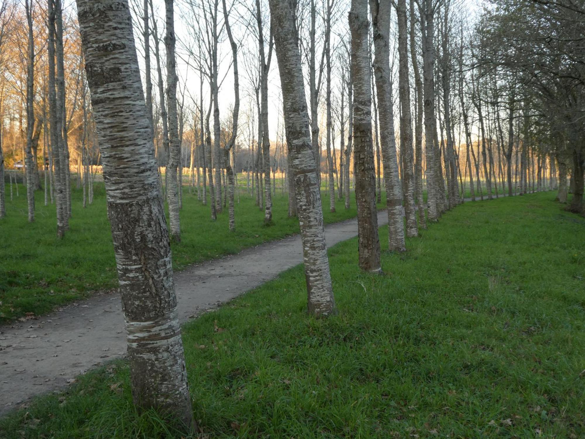 Casita A Estrenar En Finca Con Rio Proxima A Tui, Gondomar Y Portugal. 외부 사진